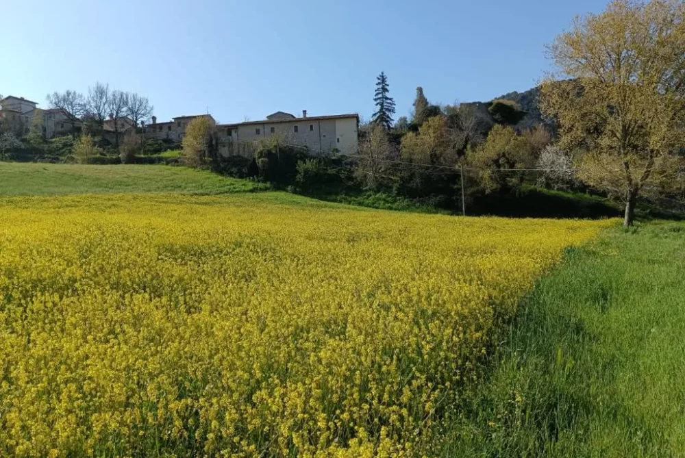 azienda-agricola-umbria